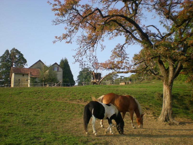 Les Conches, Thiviers - photo 7