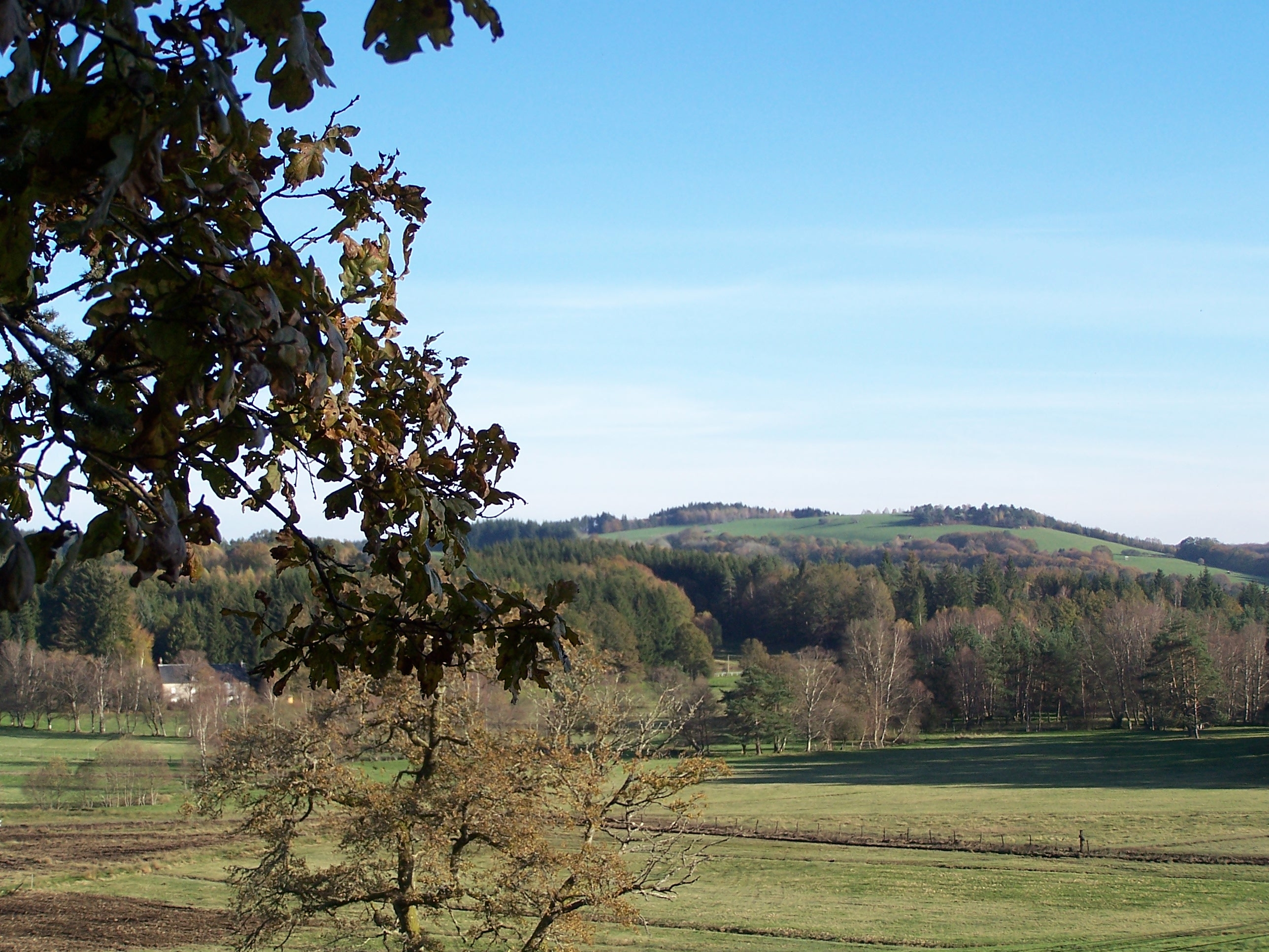 Le bois de Tempêtier