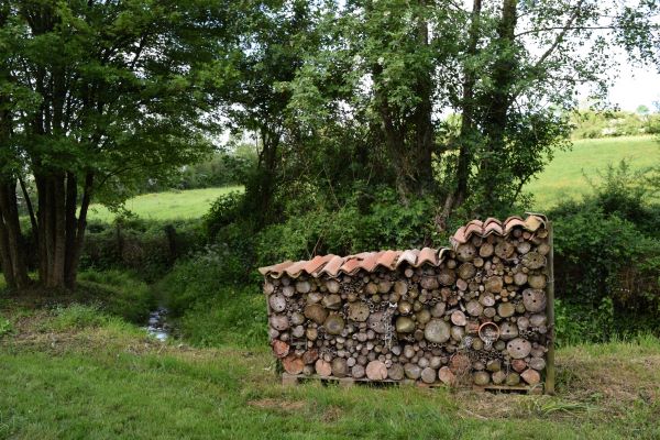 La Prairie Enchantée, Exireuil - photo 6