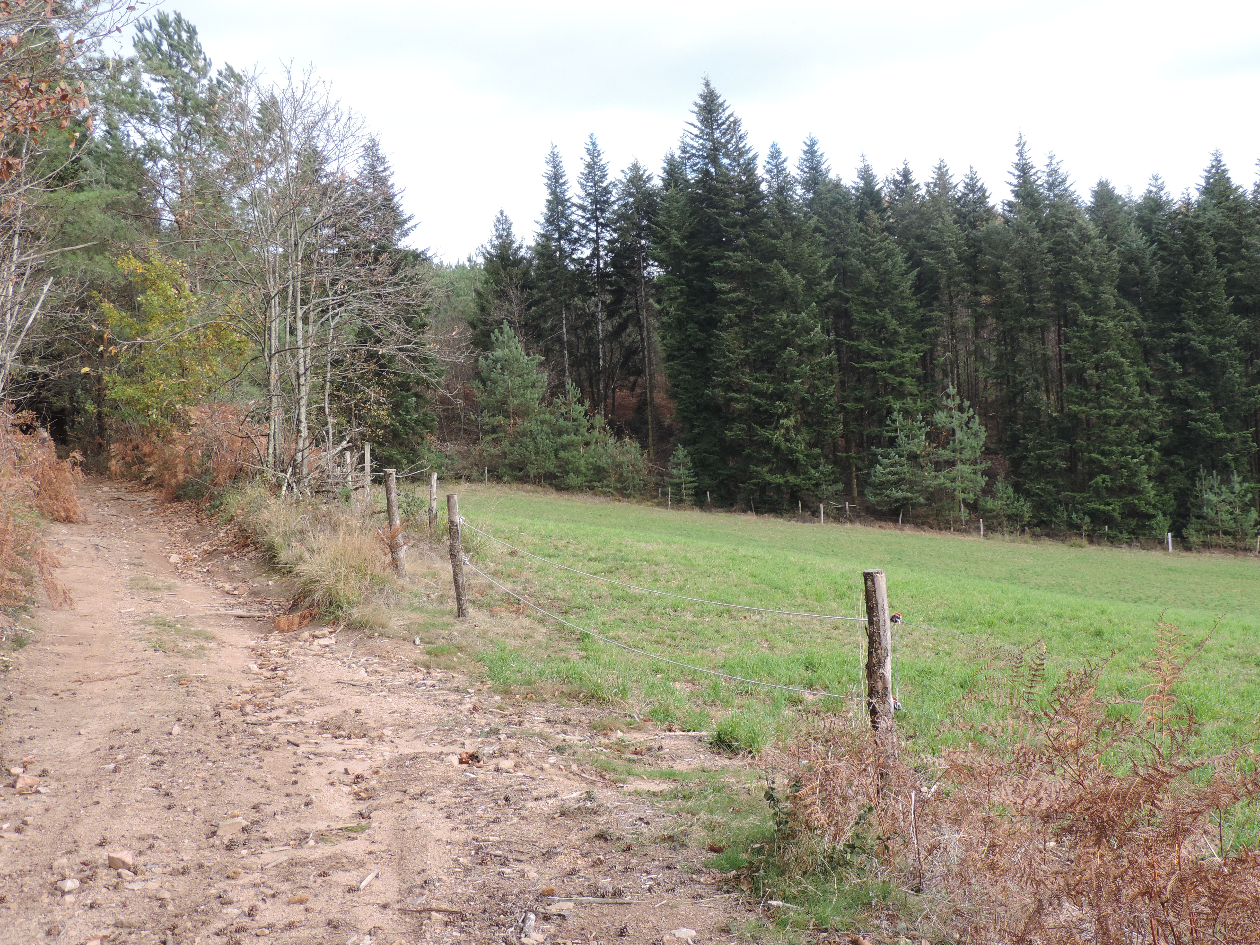 Sources et Fontaines — photo 3