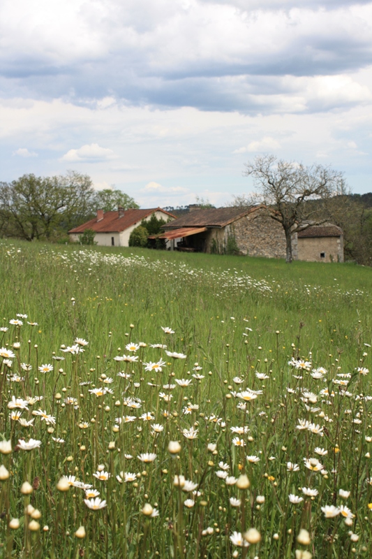 Madame Anne-Lise LOUIS - photo 2