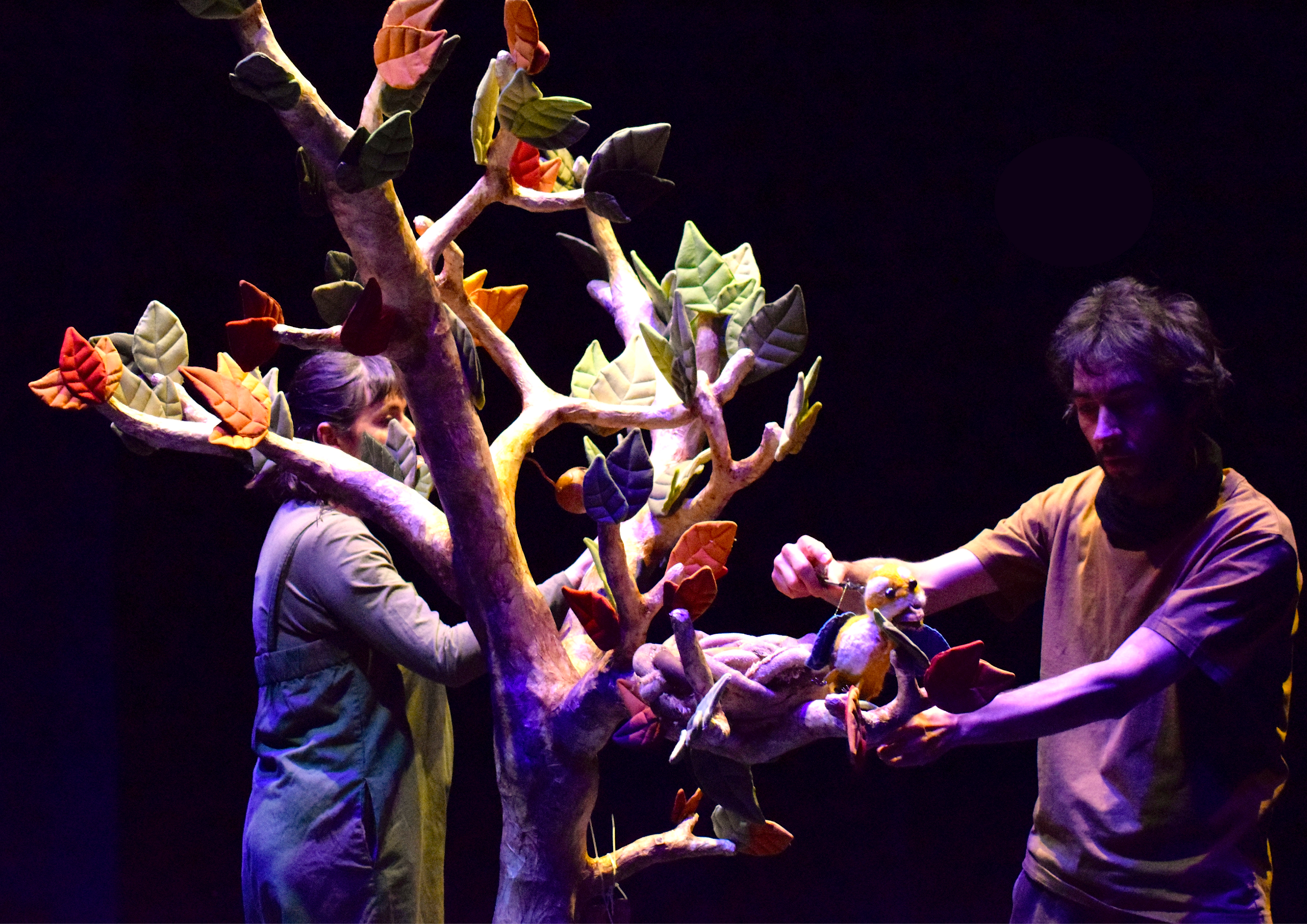 Spectacle "Le Premier Envol"