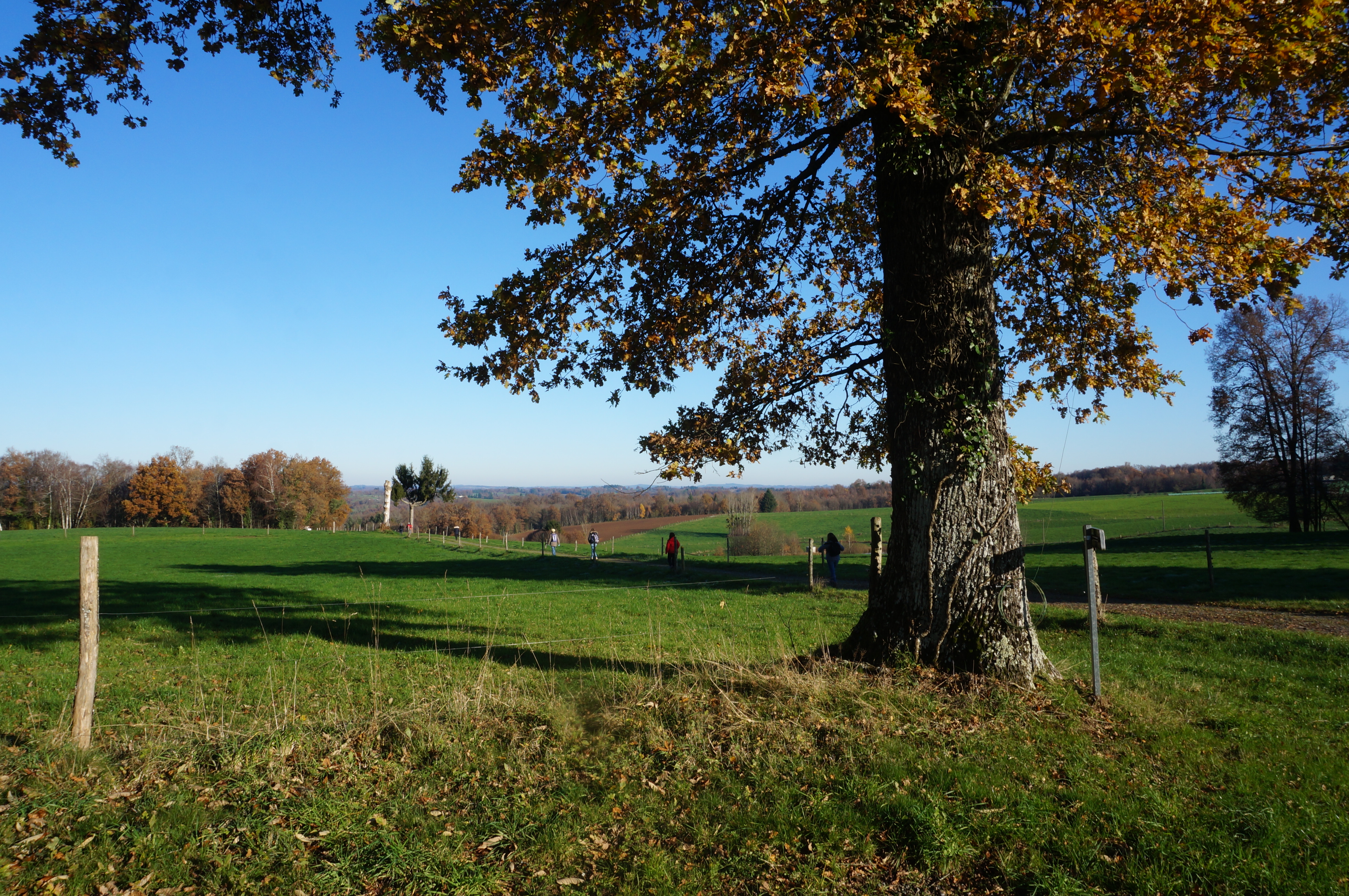 A la découverte de Beyssenac, Beyssenac - photo 7