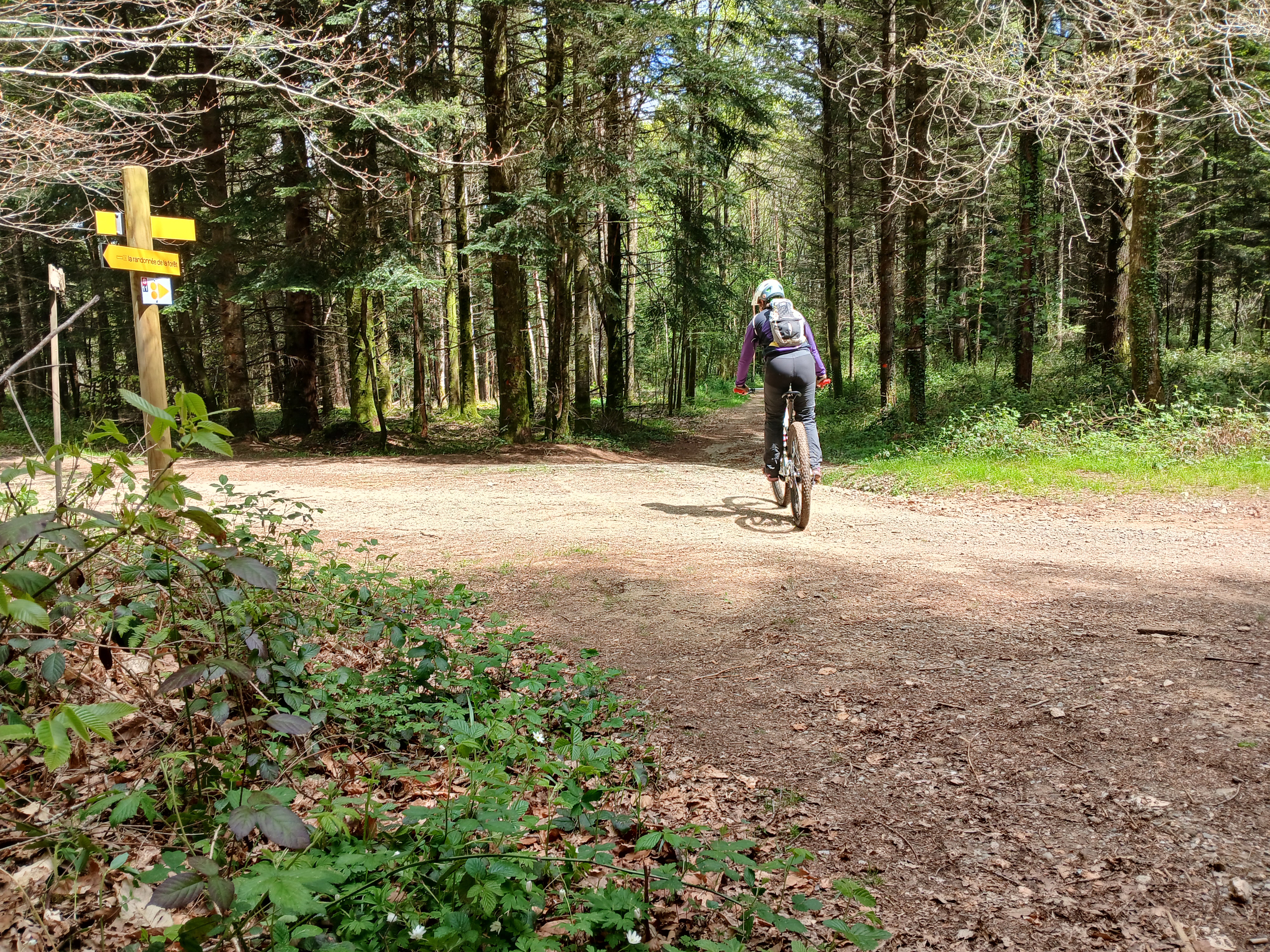 Autour de la Grenerie - photo 2