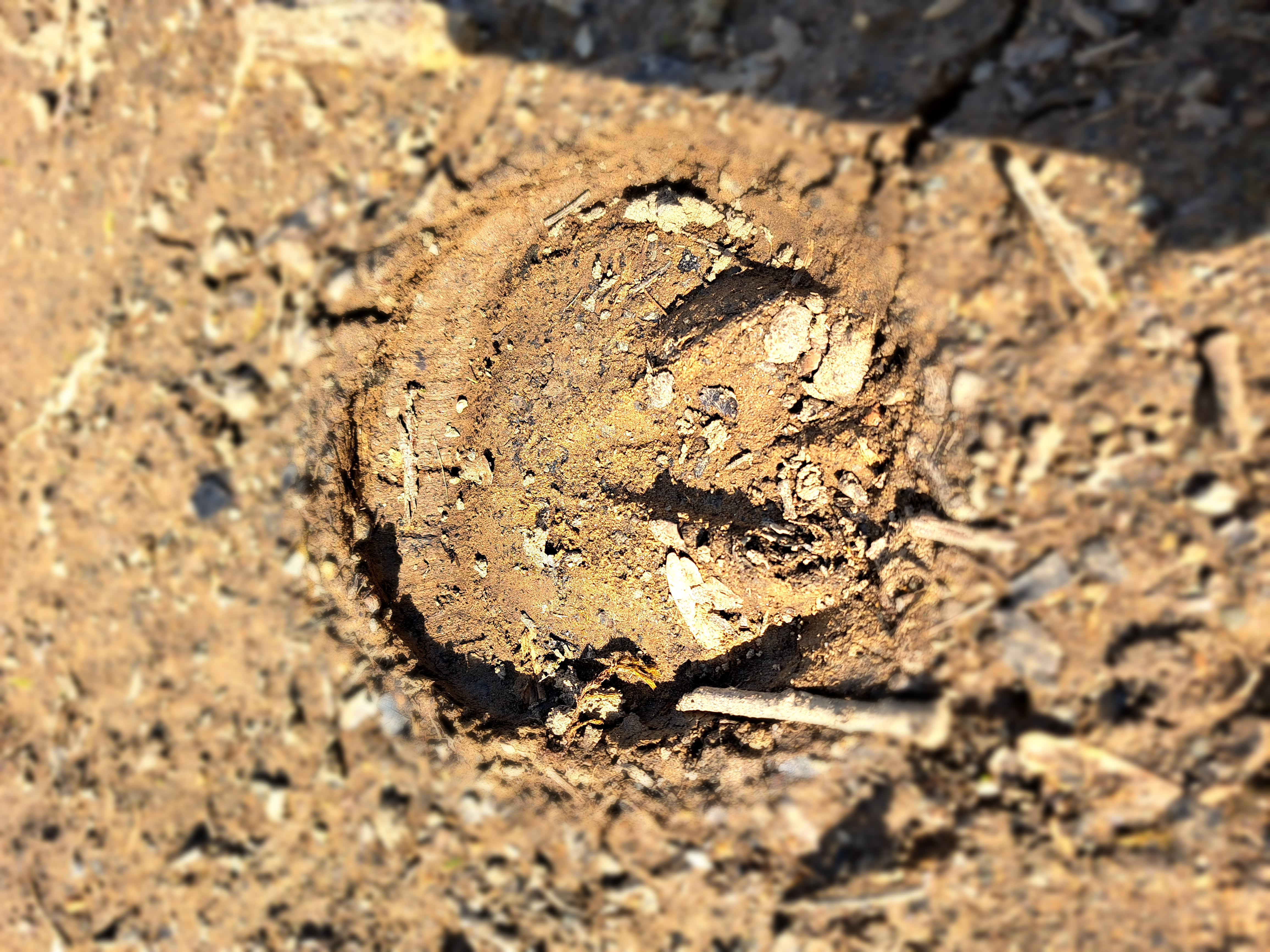 Chignac, Arnac-Pompadour - photo 2