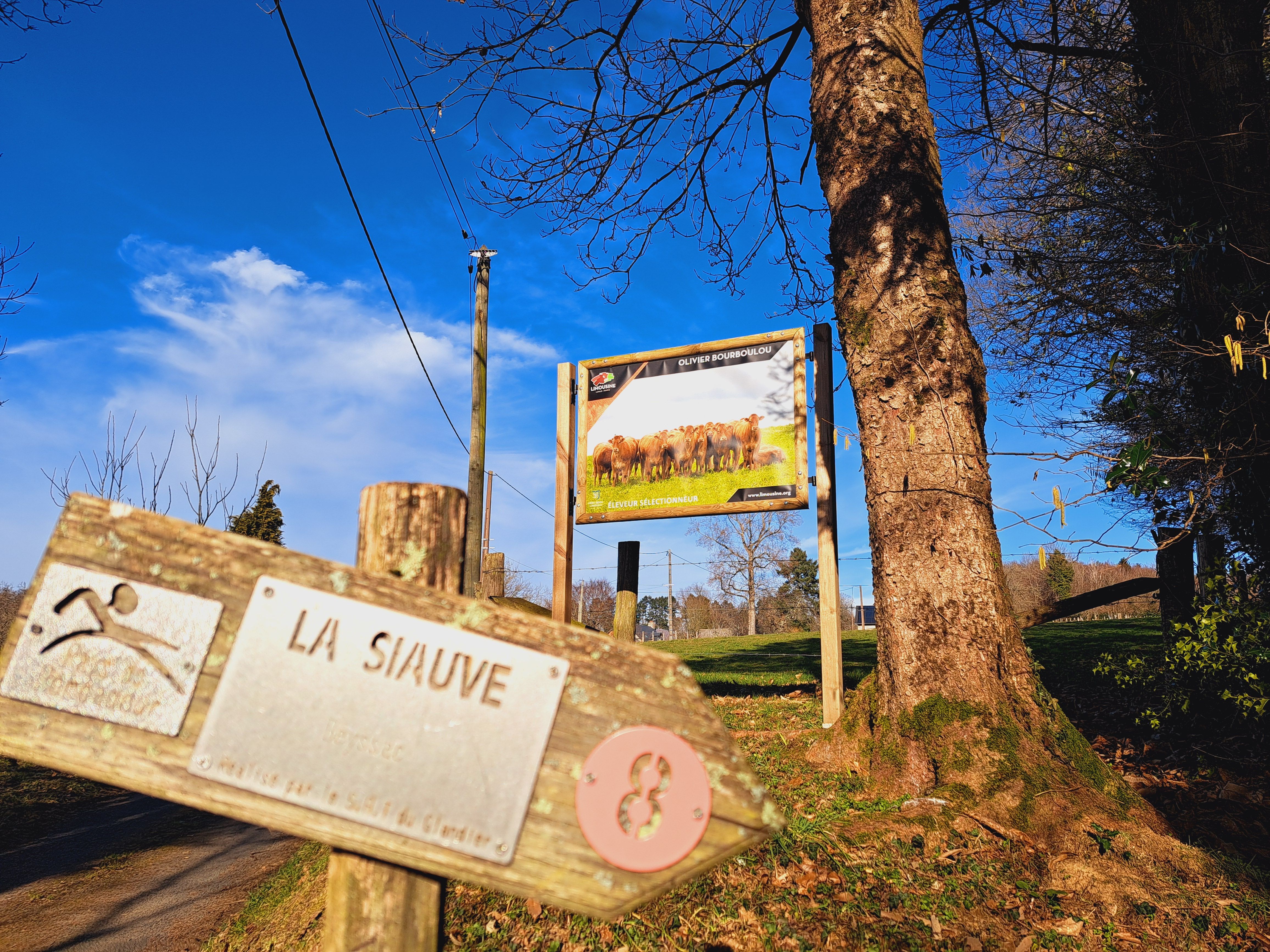 La Siauve, Beyssac - photo 10