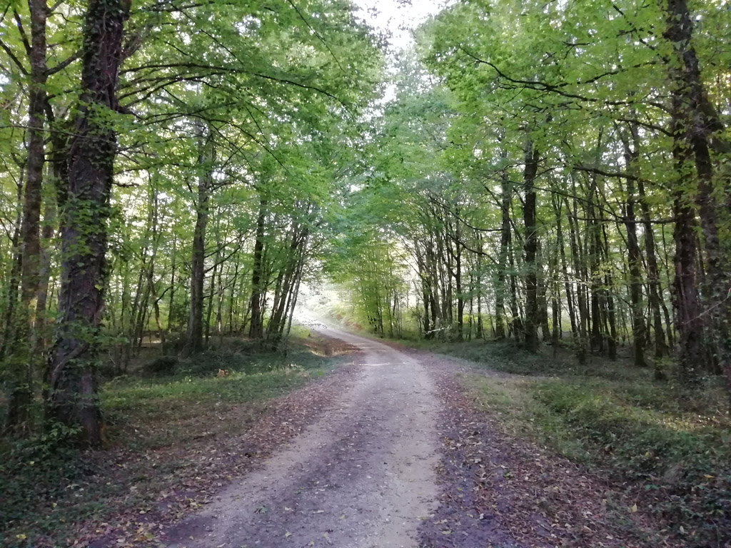 Boucle de Claud de Bled - Prigonrieux, Prigonrieux