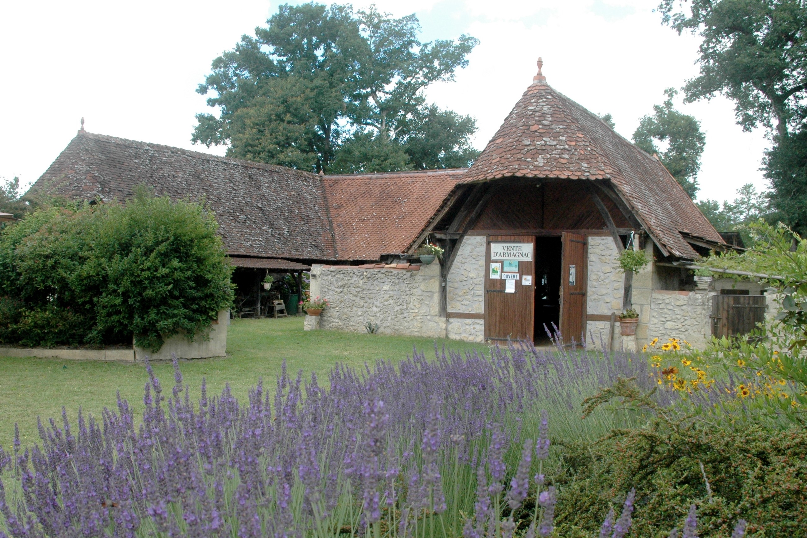 Musée du Paysan au Chai de Soube, Saint-Justin - photo 3
