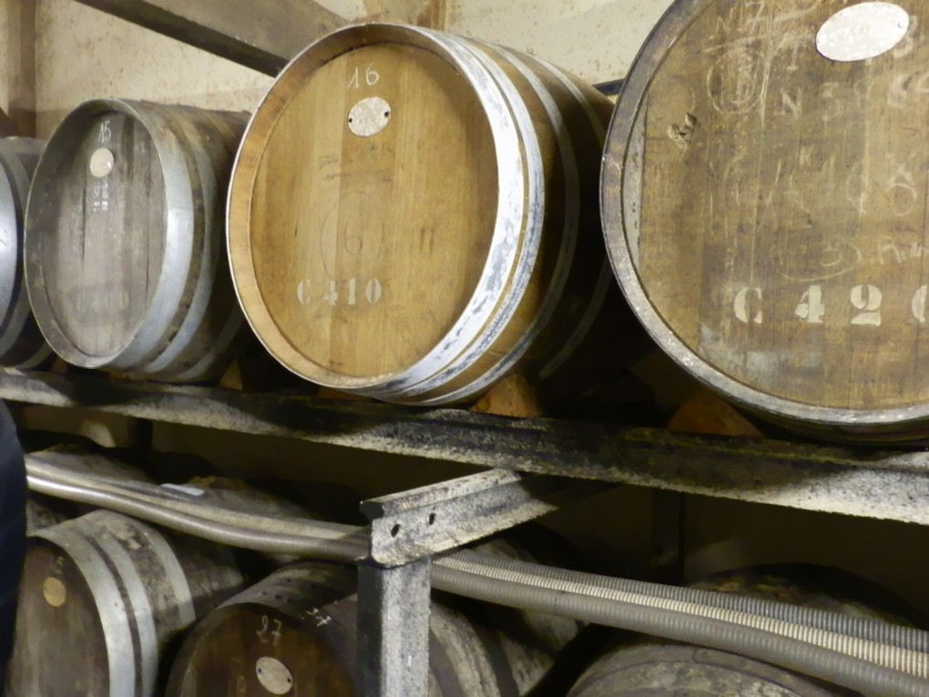 Domaine du Martin - photo 2