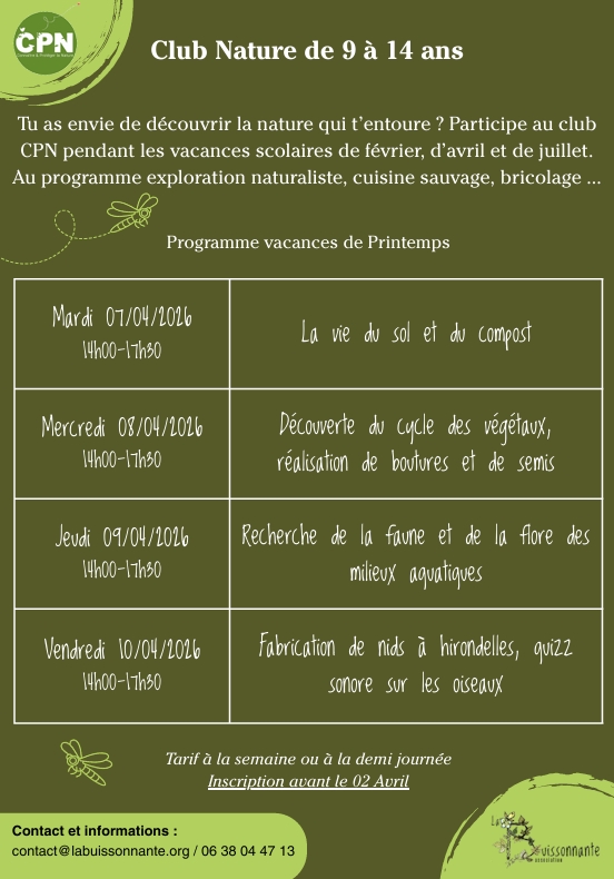 Club Nature - Fabrication d'instruments de musique buissonniers, Bressuire - photo 3