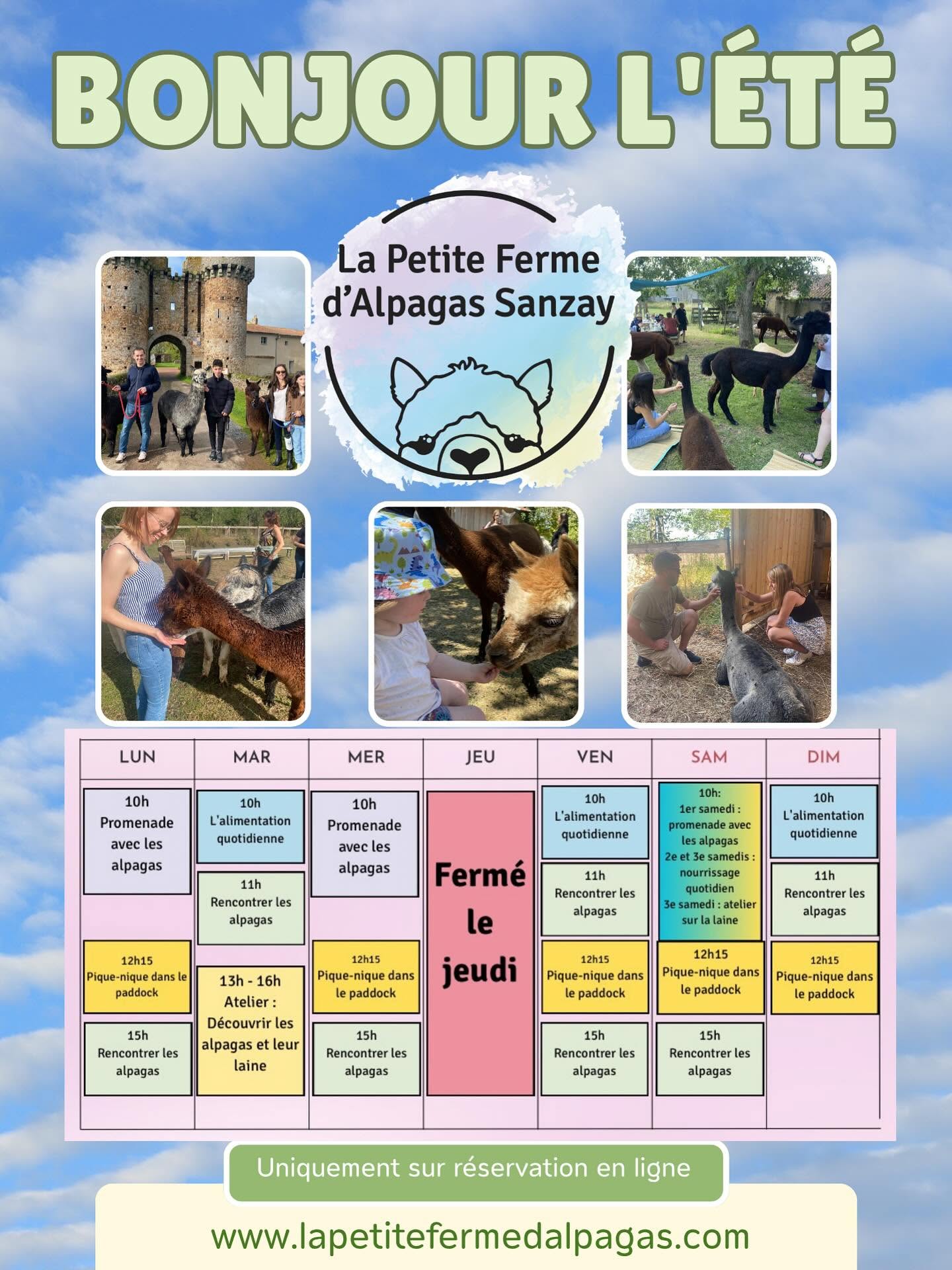 La Petite Ferme d'Alpagas Sanzay, Argentonnay - photo 15