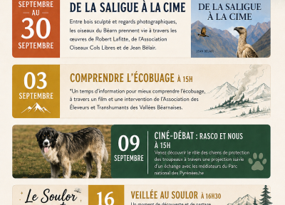 Comprendre l’écobuage