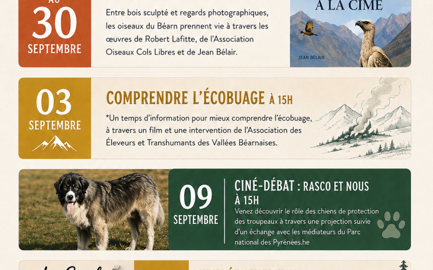 Image de présentation du lieu