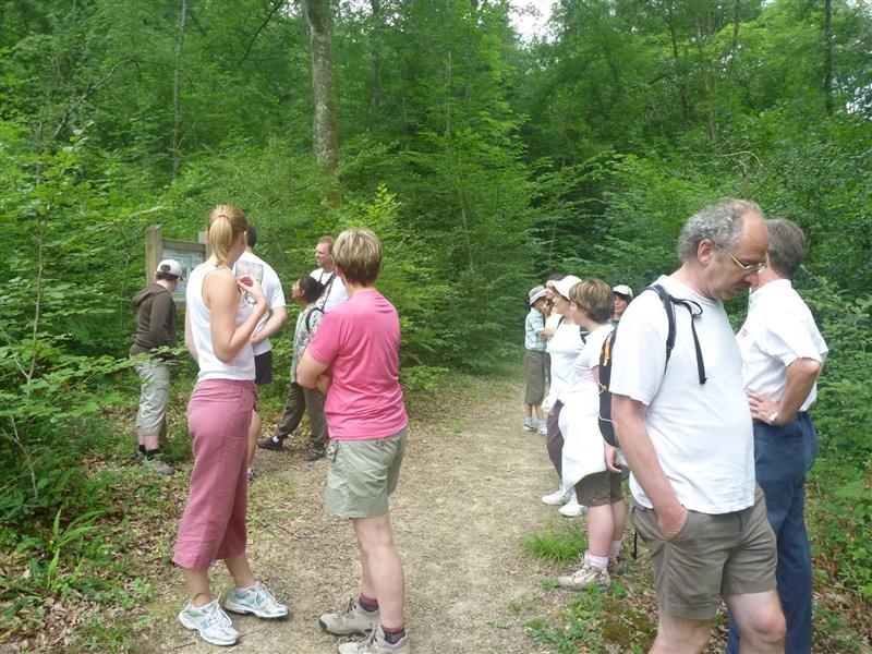 Bois de Mixe