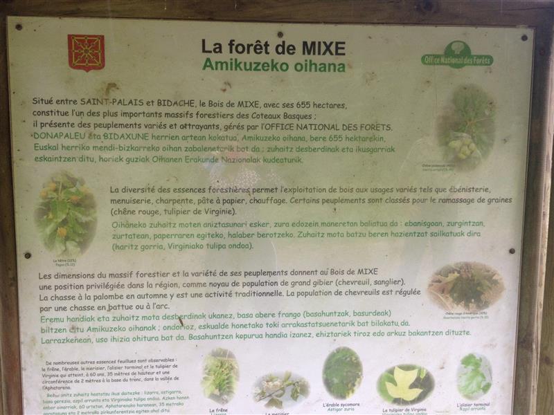 Bois de Mixe