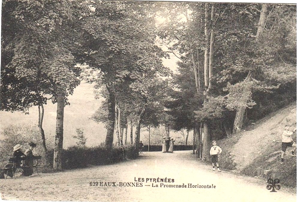 Randonnée sur la Promenade Horizontale des Eaux Bonnes : l'histoire de la forêt pyrénéenne et des arbres de l'Impératrice — visuel événement