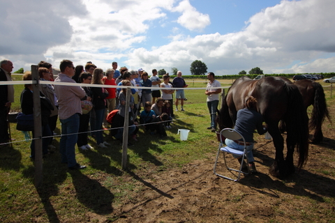 La Ferme des Mauberts - photo 2