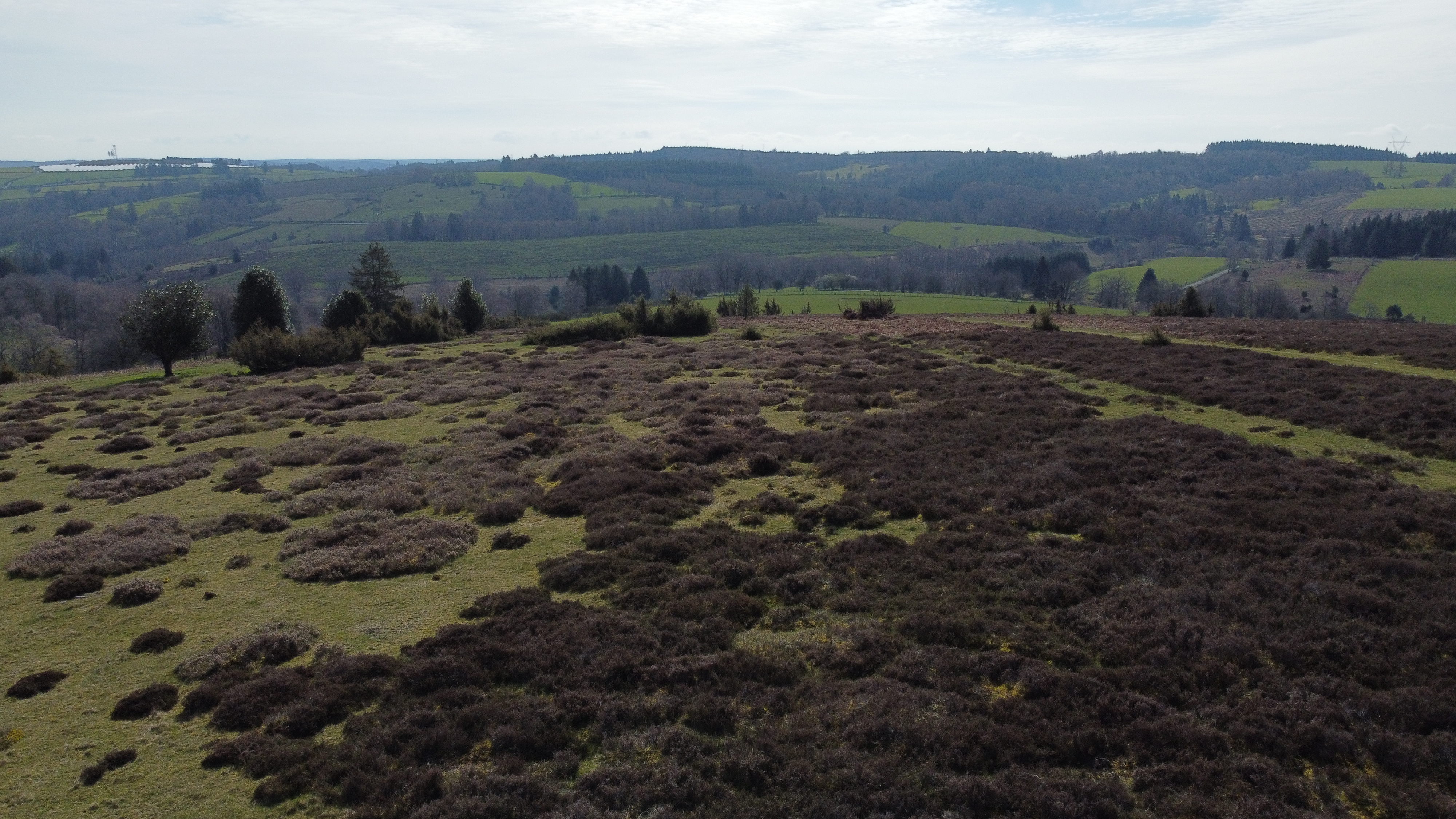 Puy de l'Aiguille, Féniers