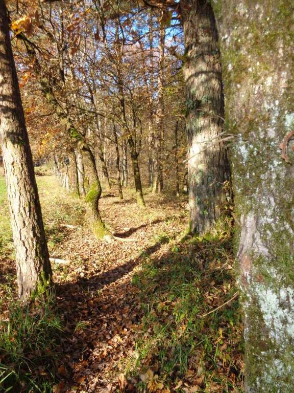 La Cafoulière - VTT — photo 3