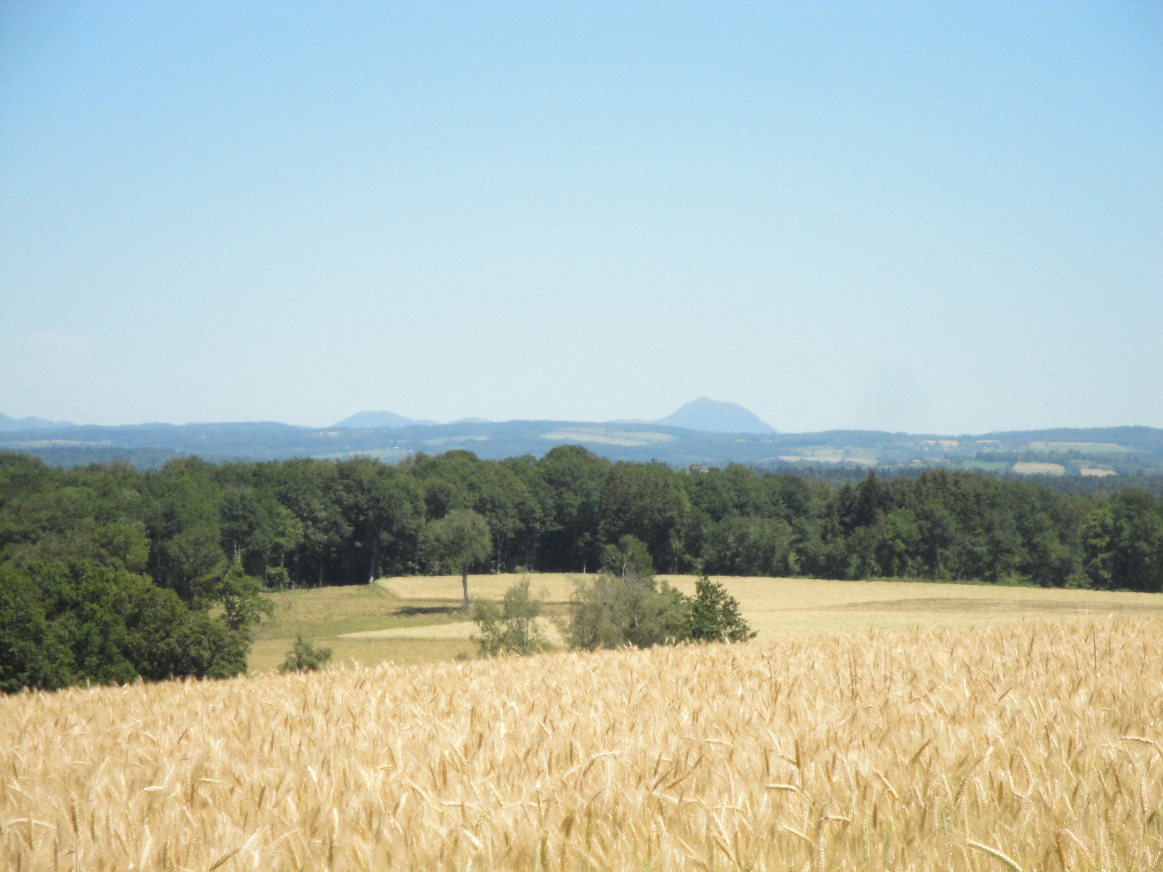 Hautefeuille Track - 12 km - photo 5