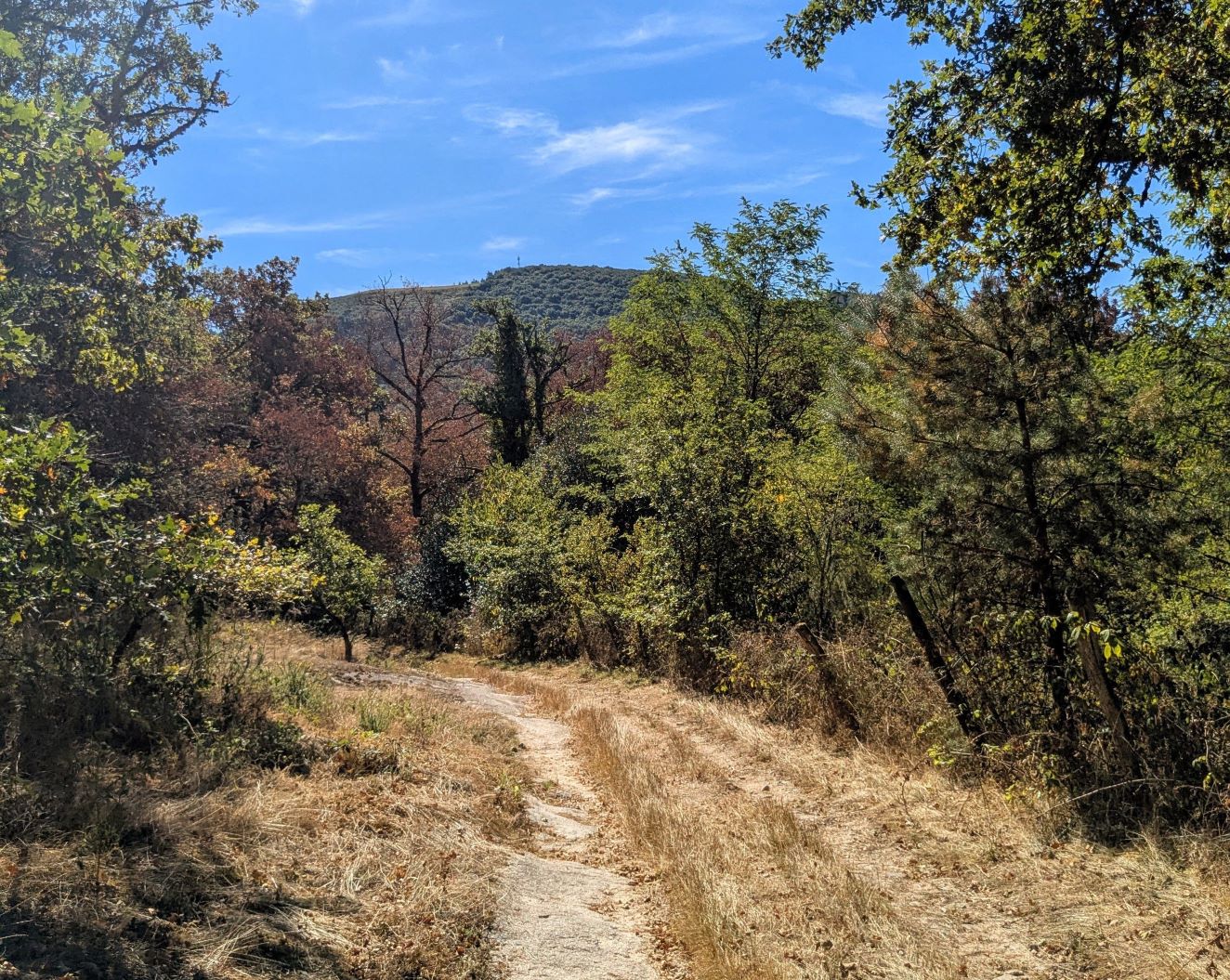 Trail de Veix : A l'assaut du Puy de la Monédière, Veix - photo 8