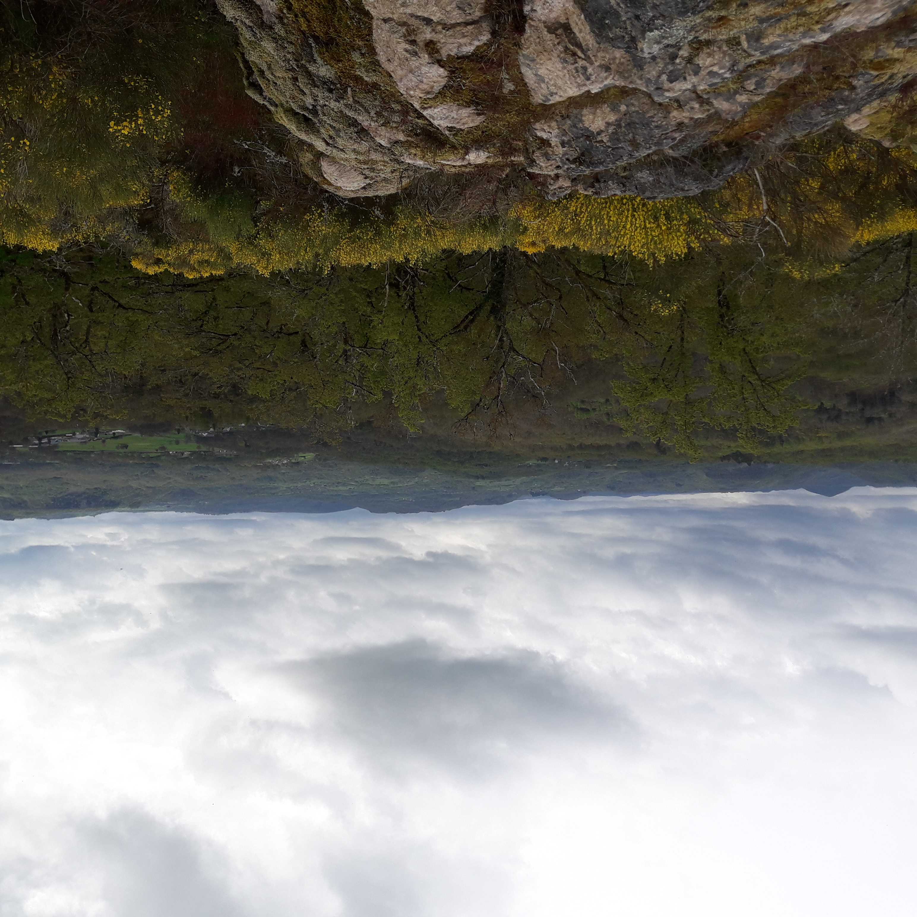 Puy Morel - Saut de la Saule - 12 km - photo 3