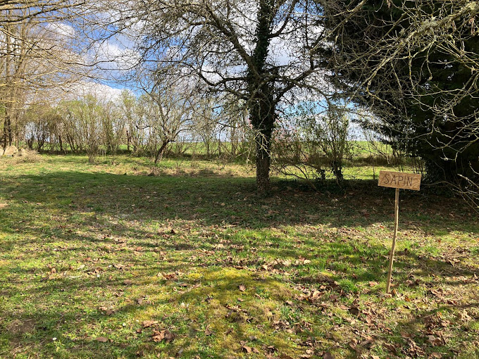 Camping Puyberaud - photo 5