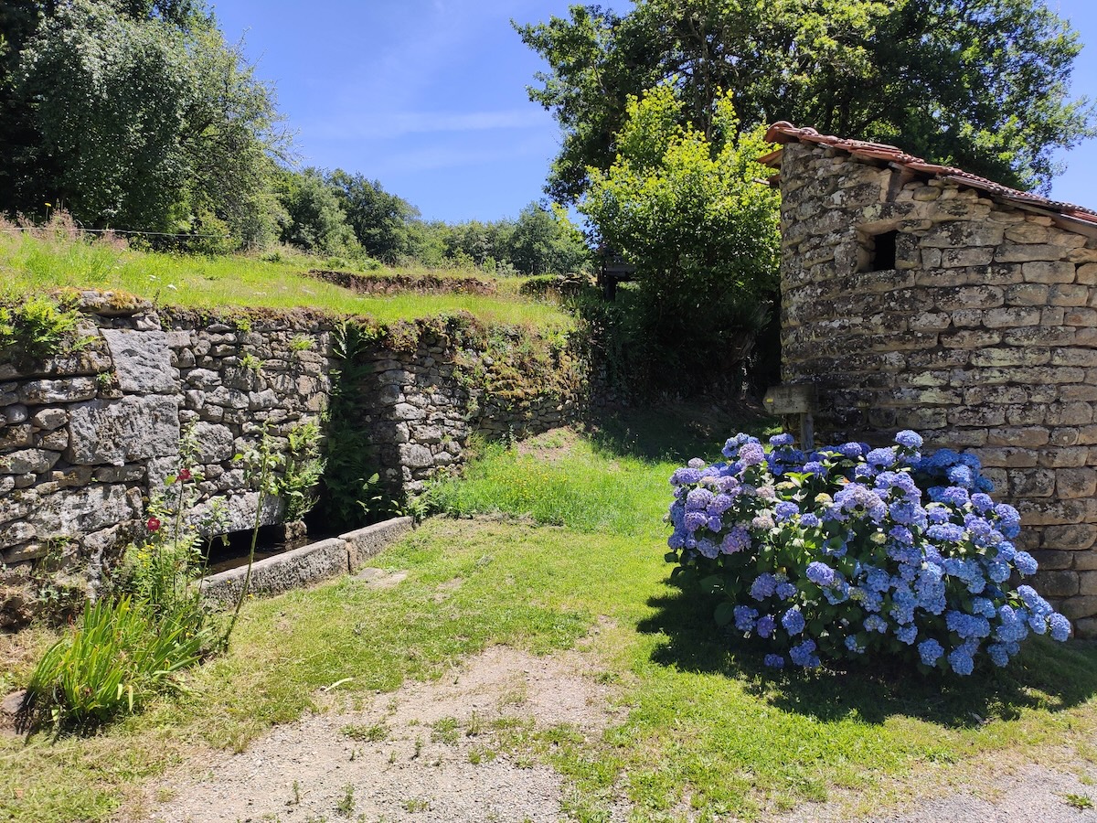 GRP® Monts et Barrages en Limousin - Etape 4 - Du lac de Vassivière (Auphelle) à Nedde — photo 3