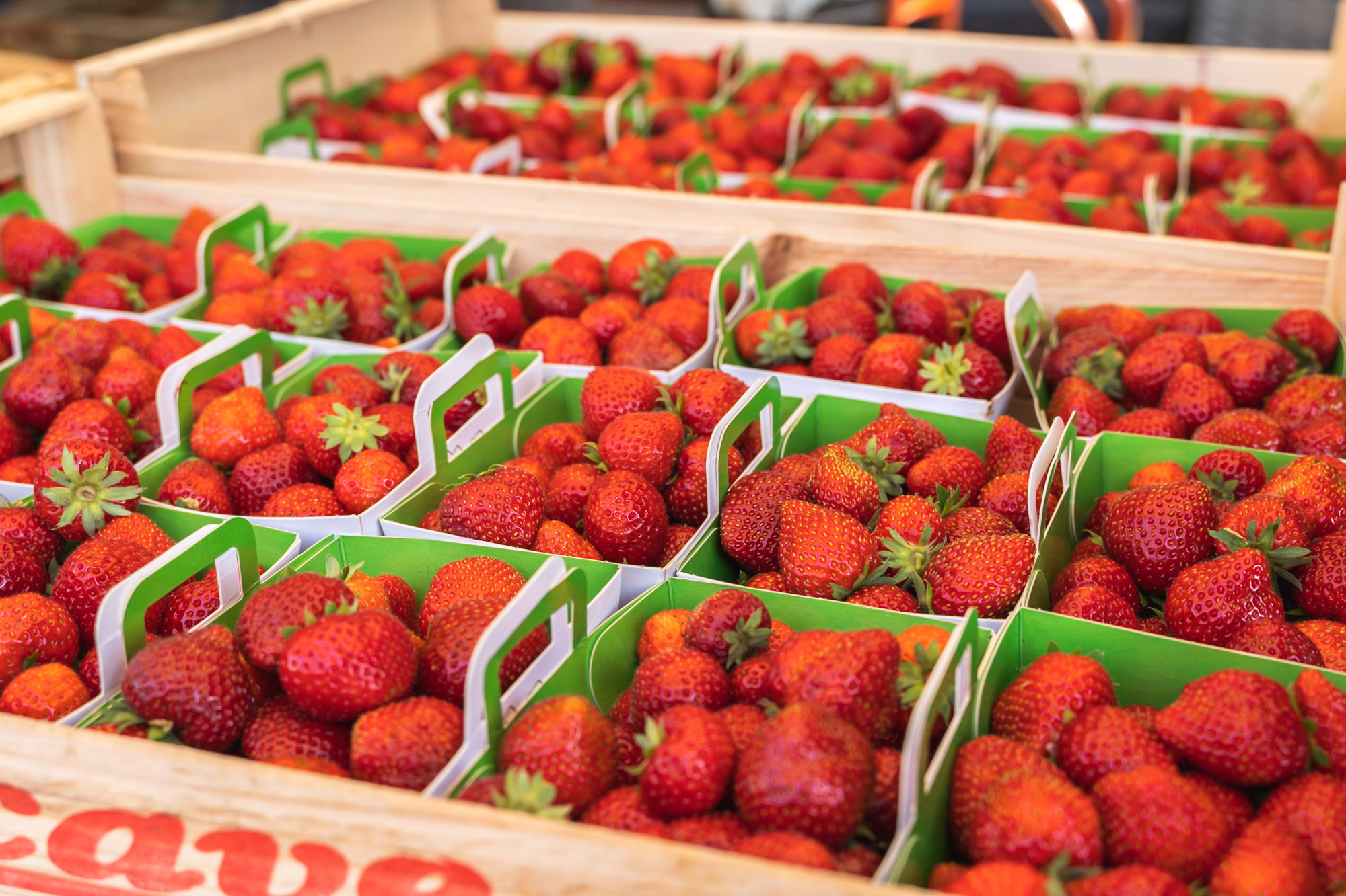 Marché de Quintaou, Anglet