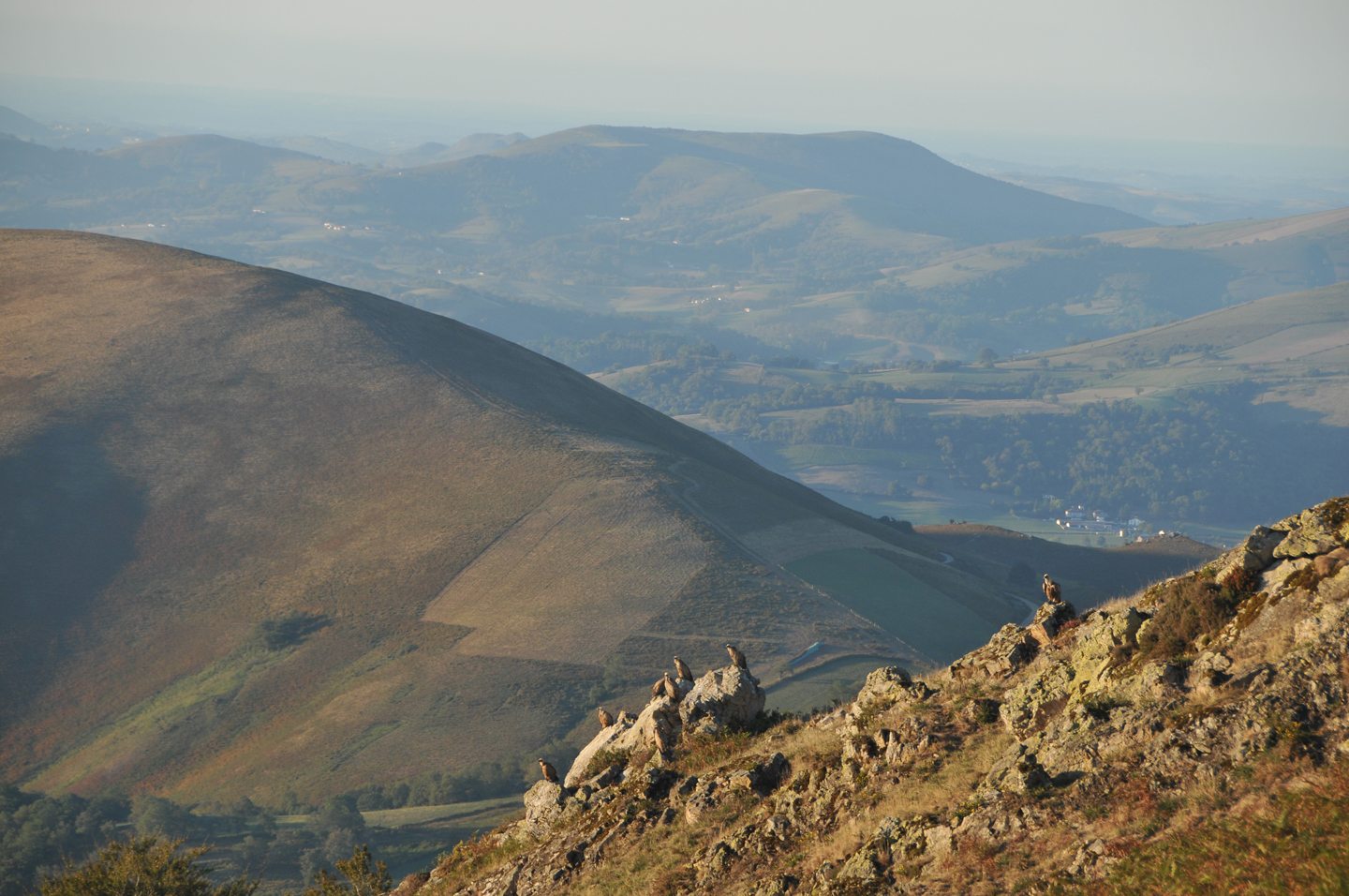 Les crêtes d’Ithurranburu, Estérençuby