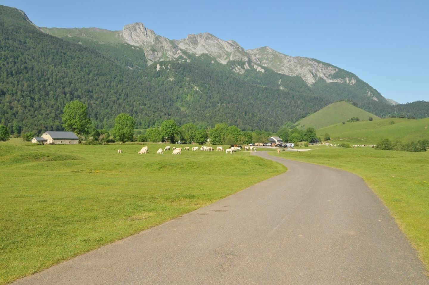 Le col de Marie Blanque en vélo, Arudy - photo 2