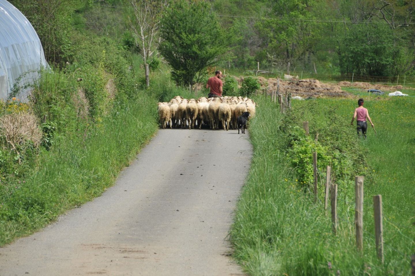 La boucle du piémont ossalois à vélo, Rébénacq