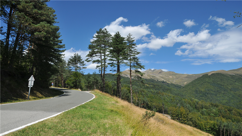 Route N°29 - La Pierre Jacques