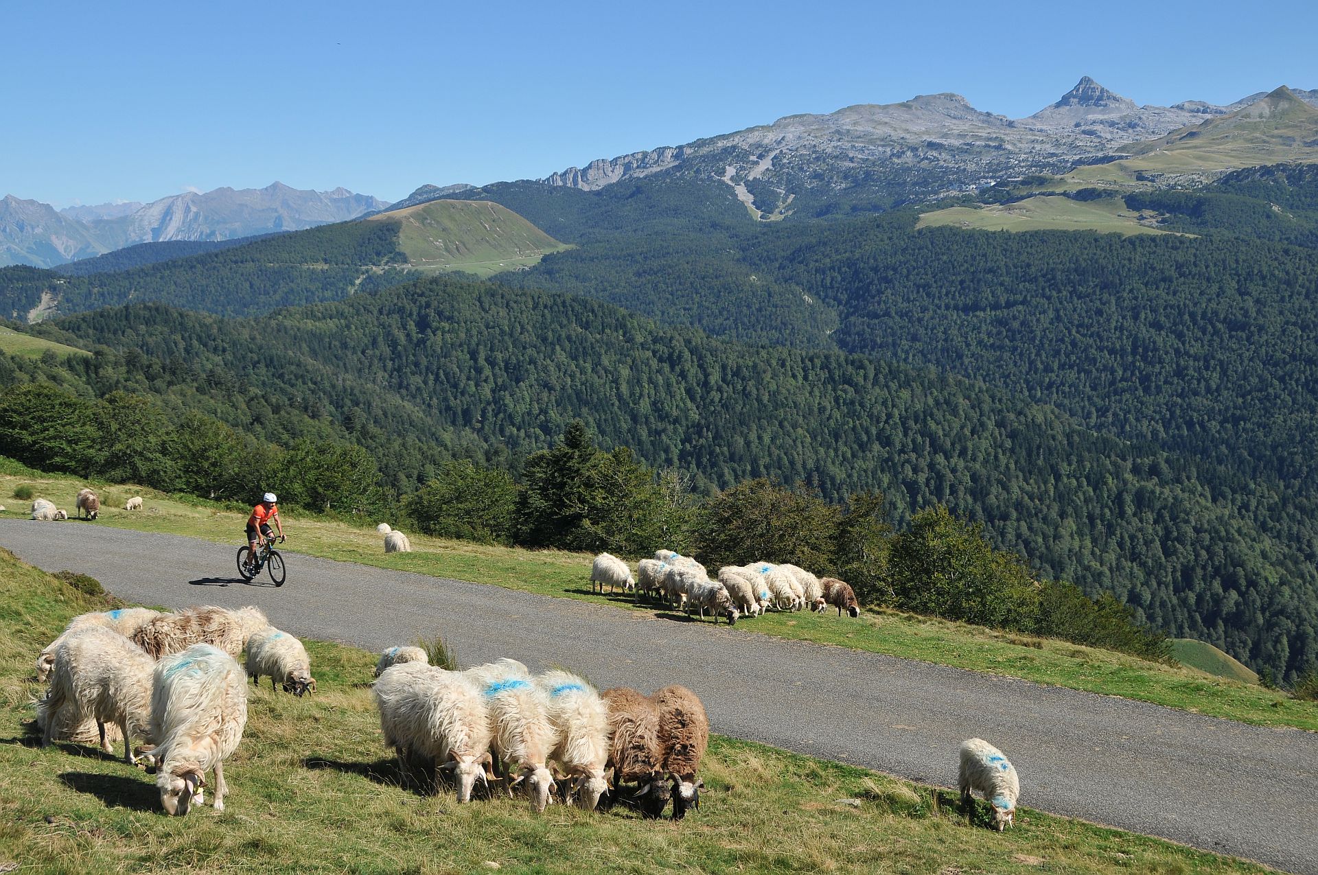 Route N°29b - La Pierre Jacques, Aramits - photo 5