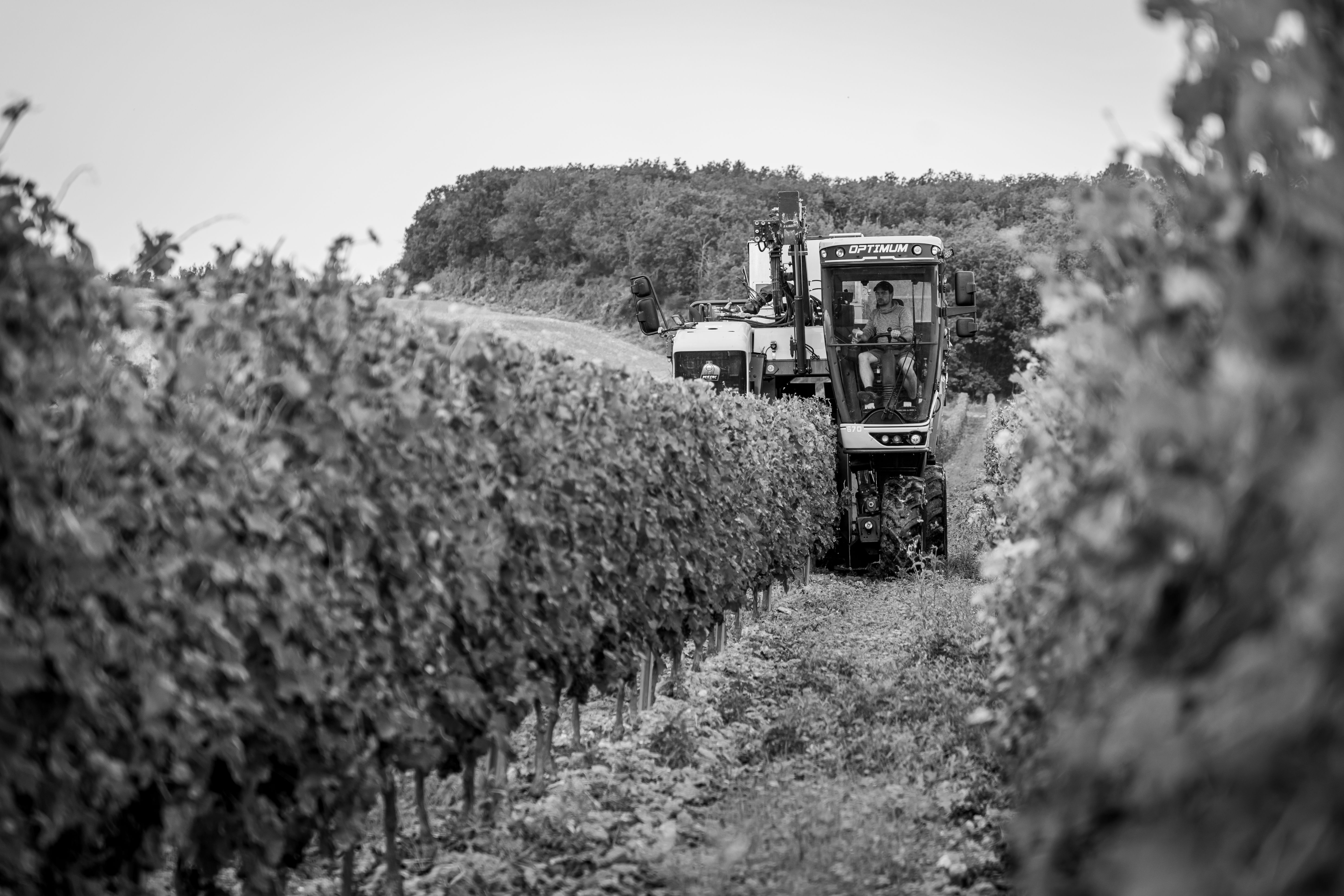 Domaine de la Coudraie - photo 3