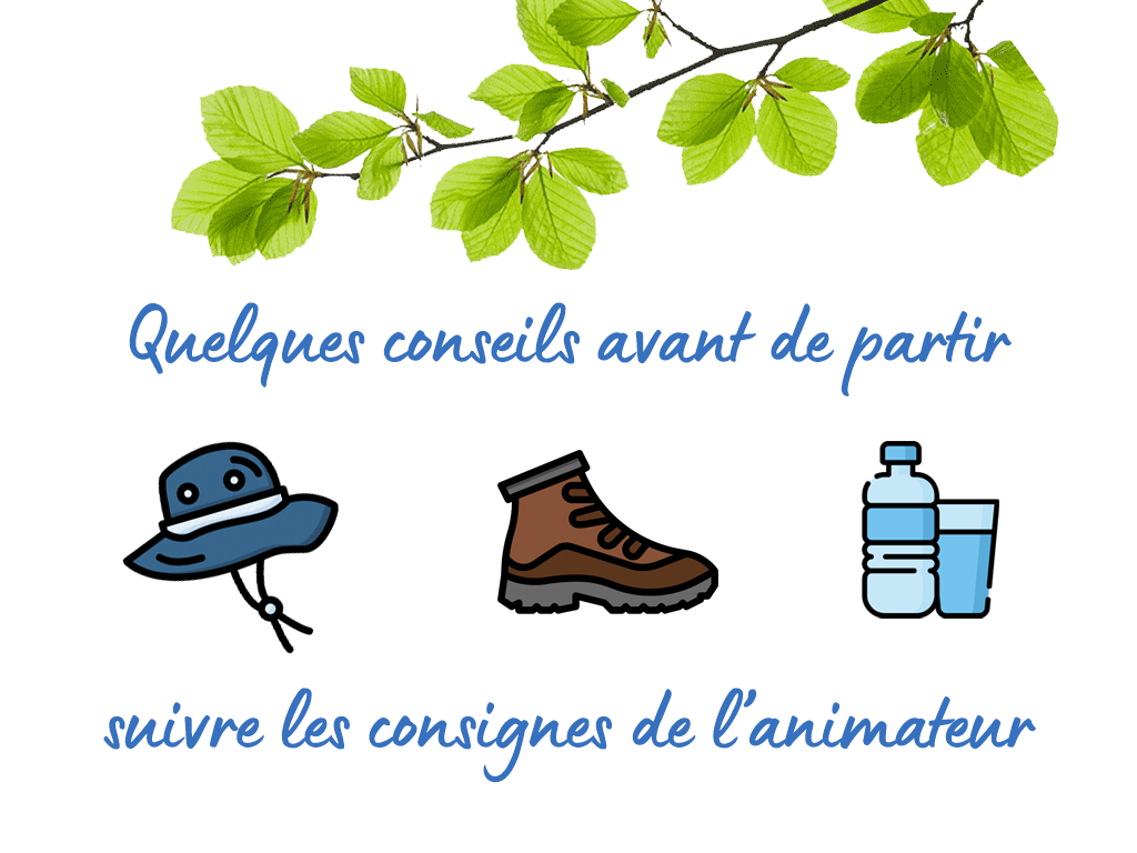 Randonnée pédestre avec "Rando Nature", Moutier-Rozeille - photo 2