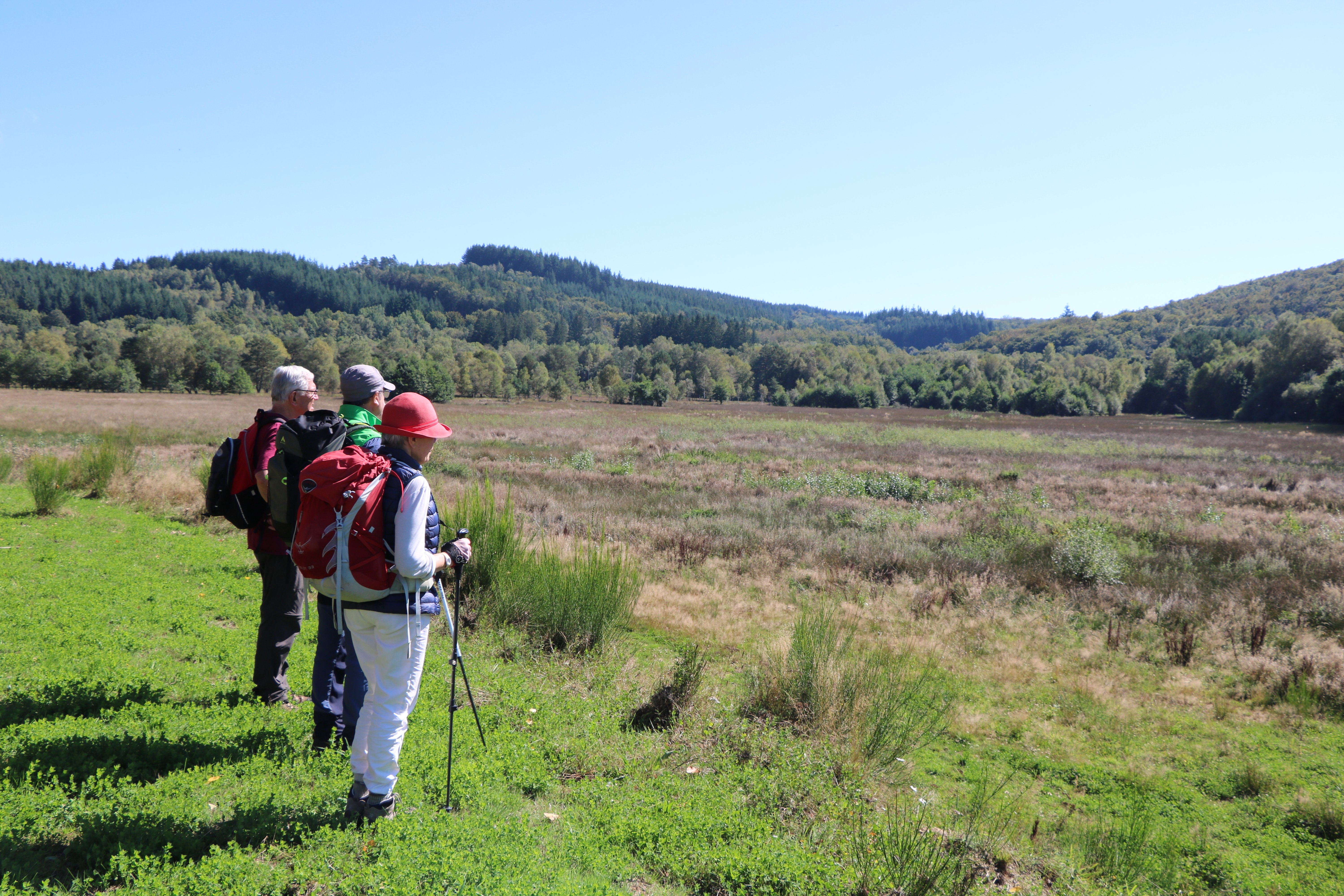 Circuit d’interprétation de la tourbière de Rebière Nègre - 4 km