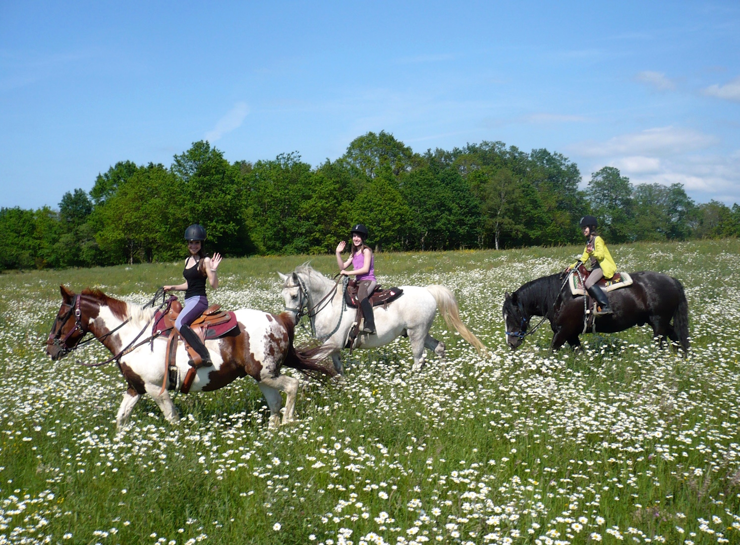 Centre équestre - Moulin d'Aiguemarde