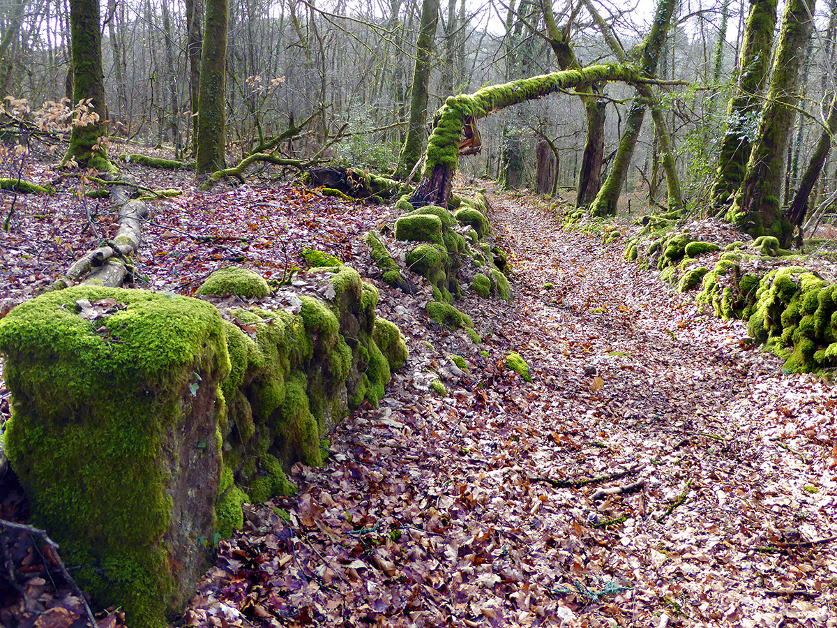 Le tour du bourg, Razès - photo 3