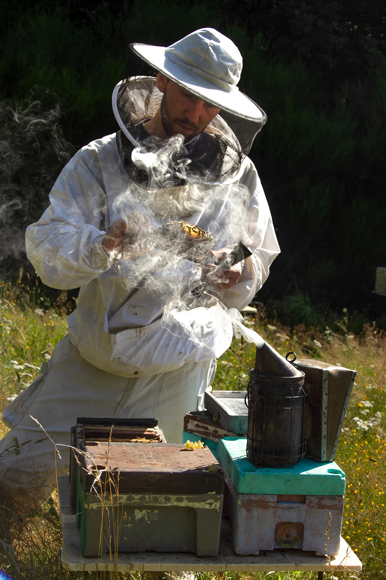 Miel Maison Fedon - photo 2