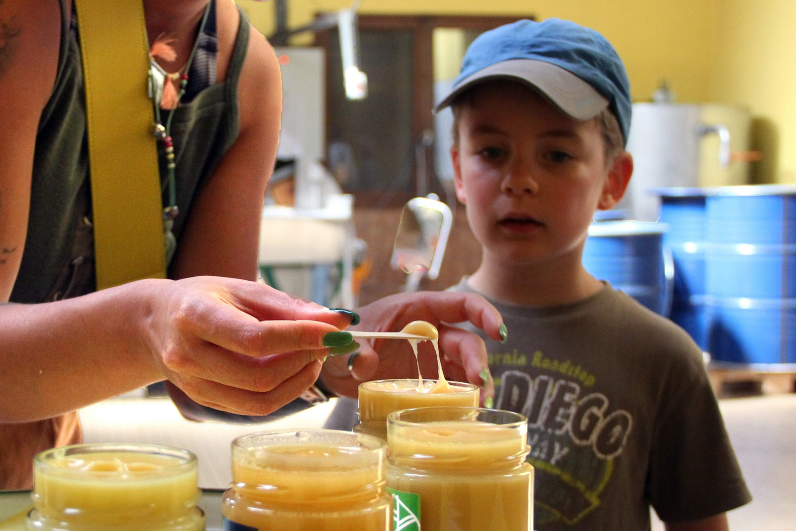 Miel Maison Fedon - photo 4