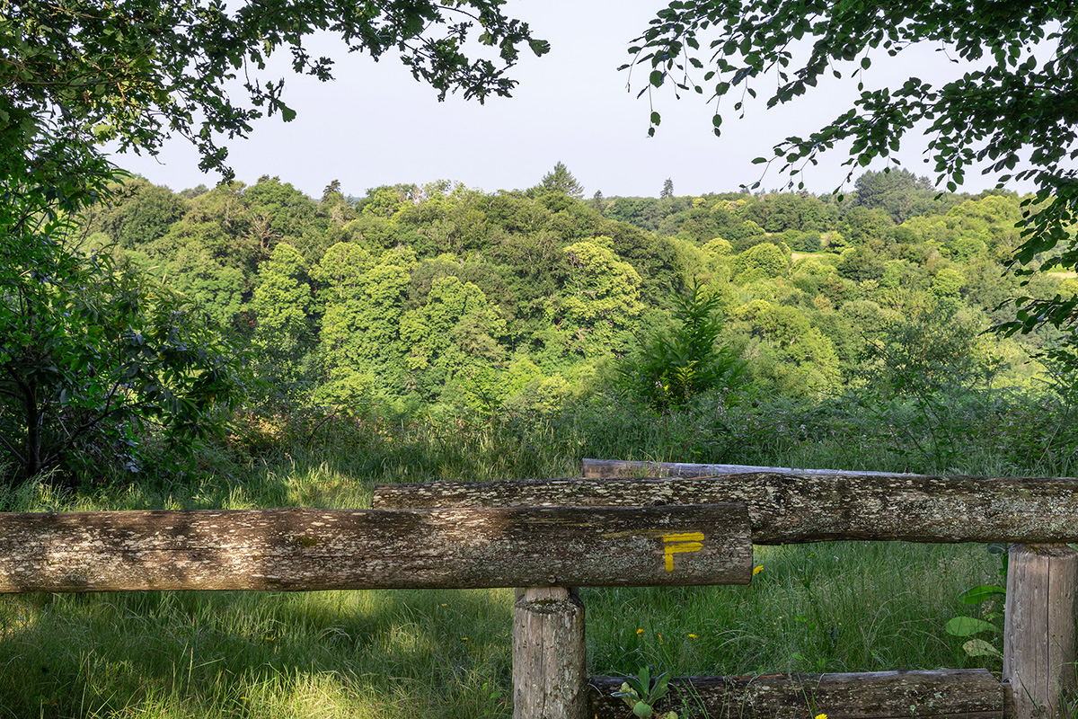 Le tour du bourg, Razès - photo 5