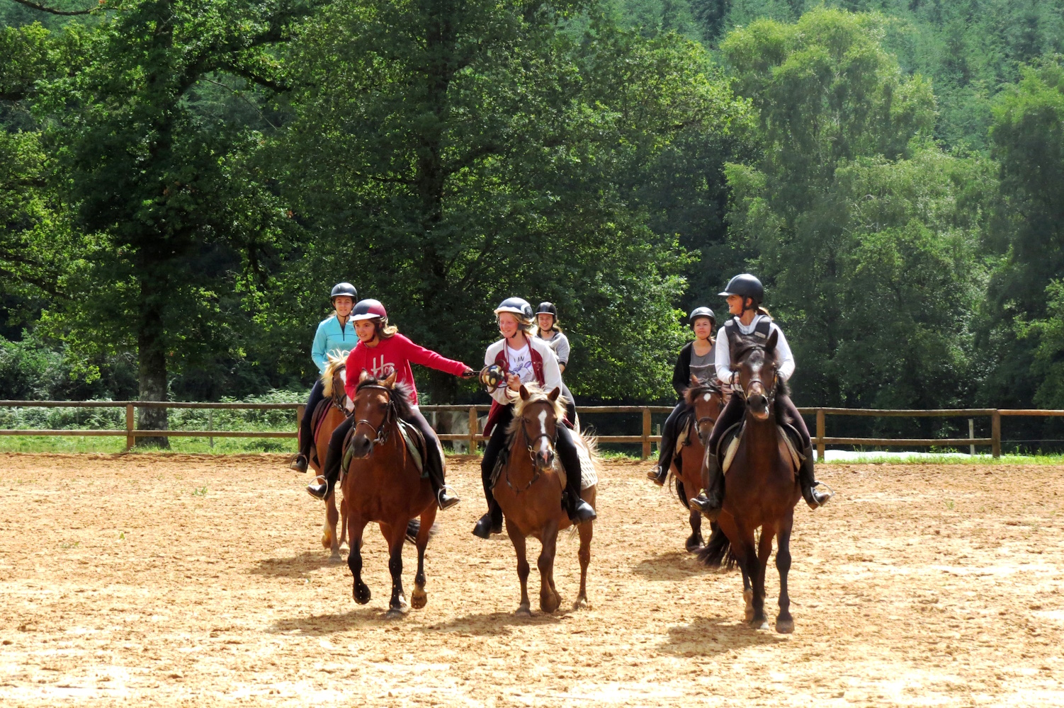 Centre équestre - Moulin d'Aiguemarde - photo 4