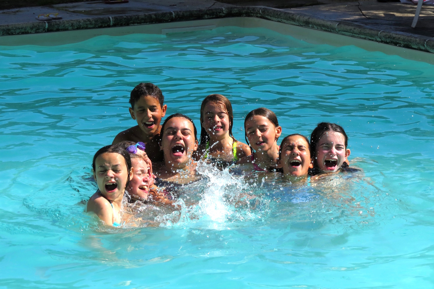 Centre équestre - Moulin d'Aiguemarde - photo 3