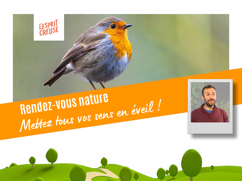 Rendez-vous Nature - Une forêt d'histoires — visuel événement