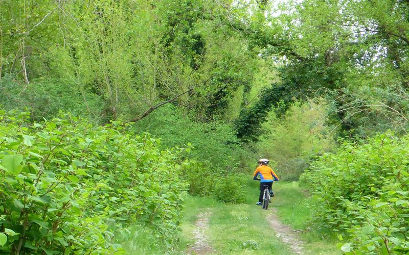 Circuit vélo 1 : Boucle du Gave et de la saligue