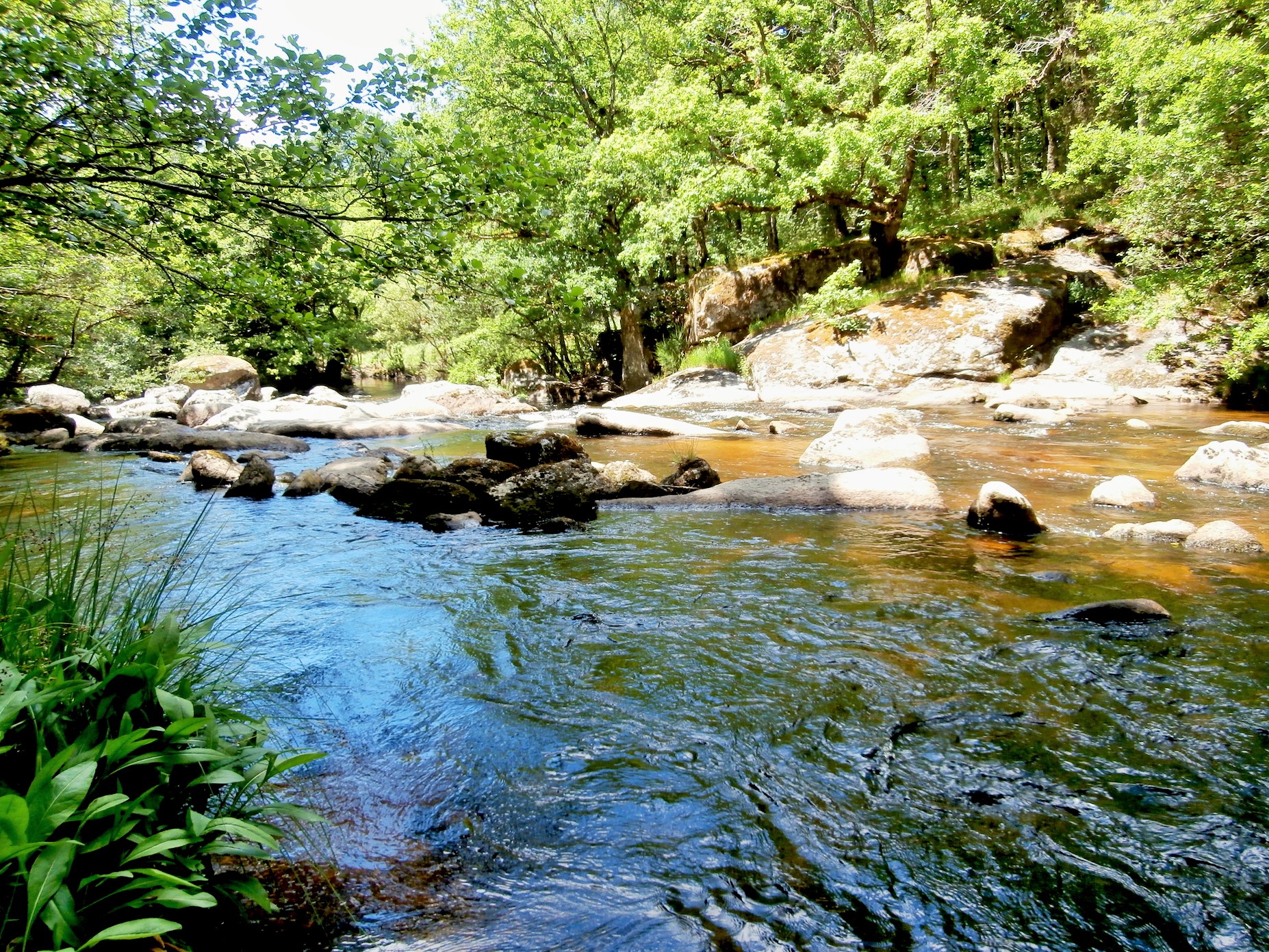 Les Rochers de Négremont, Rempnat - photo 3