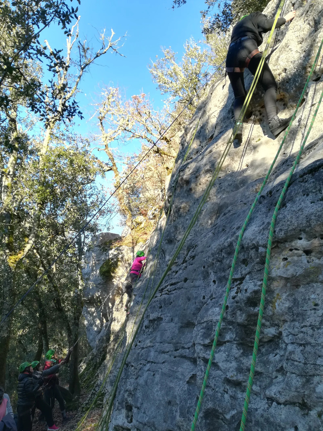 Falaise de la forêt départementale de Campagne - photo 3