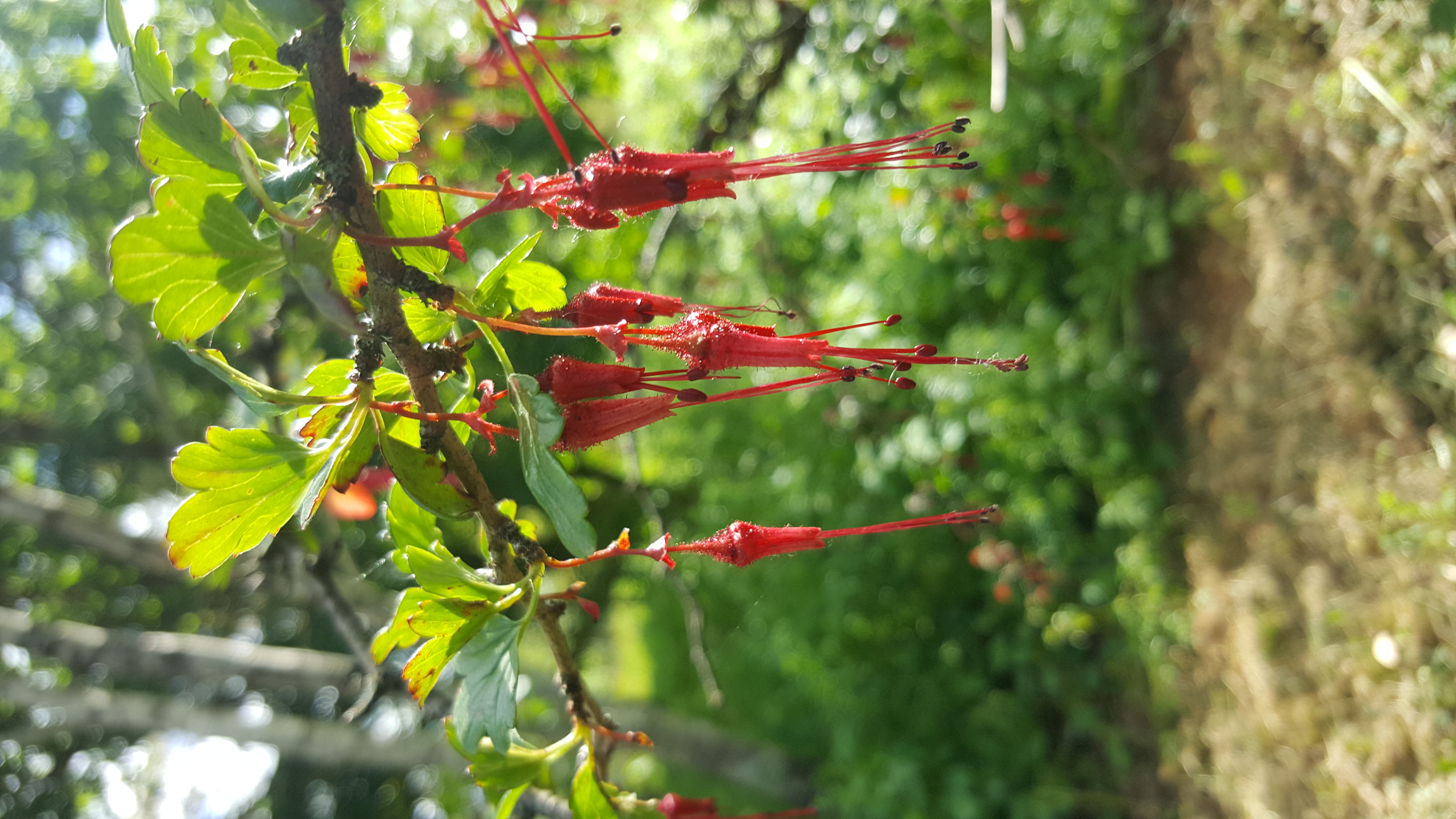 Animation nature · Visite et balade