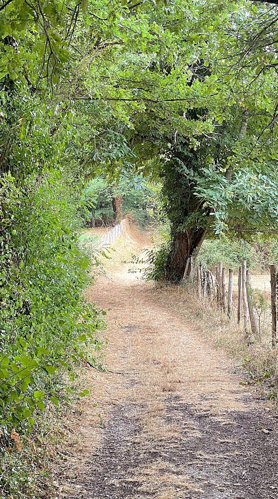 Boucle de Riberac - Faye